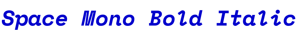 Space Mono Bold Italic шрифт